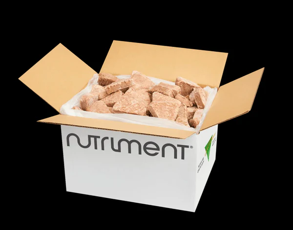 Energique nr1 Volwassen hond 12kg - Afbeelding 2