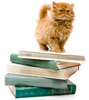Kattenboeken over raskatten