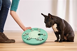 Nina ottosson dog worker