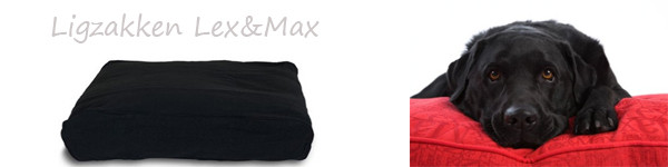 Lex en Max ligzak