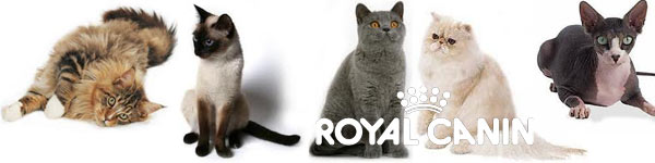 Royal Canin voor raskatten