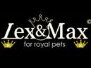 Hondenkussen Lex en Max Dog Star Antraciet 100X70CM-5805