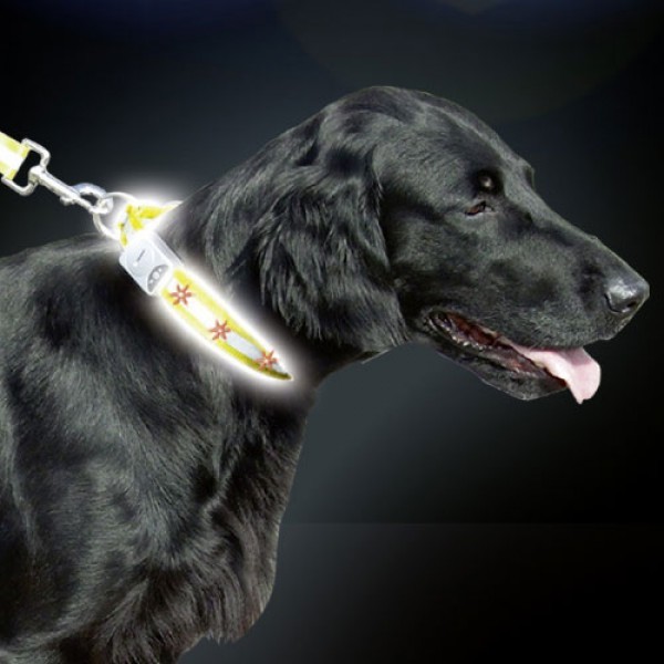 Hondenhalsband reflecterend met LED verlichting-0