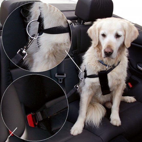 Veiligheidsgordel hond 20-40 cm borstomvang-0