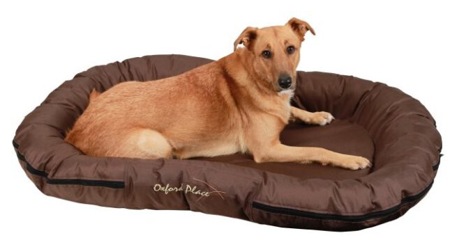Hondenkussen Oxford Bruin 120 cm-0