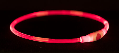 Halsband met LED verlichting Rood