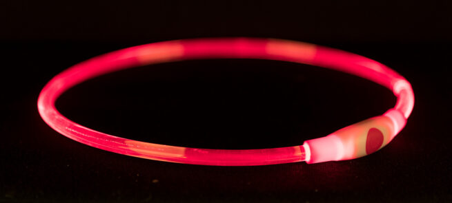 Halsband met LED verlichting Rood