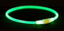 Halsband met LED verlichting Groen