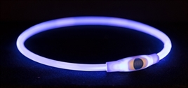Halsband met LED verlichting Blauw