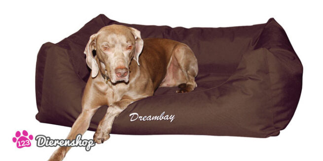 Hondenmand Dreambay Bruin-11977