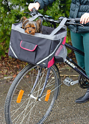 Streng Aan boord Gedachte Axion honden fietsmand