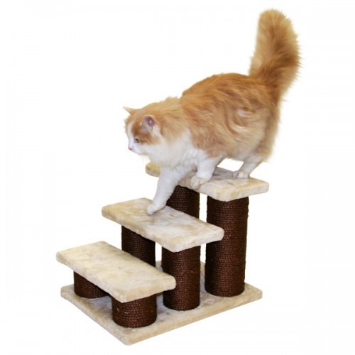 Kattentrap Easy Climb-0