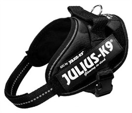 Julius K9 Power Tuig Zwart Mini 49-67cm-0