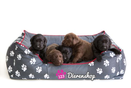 Hondenmand My Paw Antraciet 115cm-0