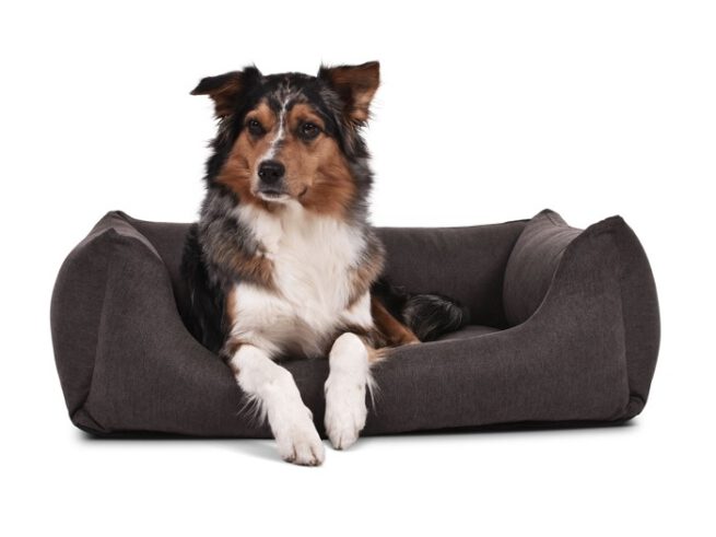 Hondenmand Comfort Dream - Afbeelding 5
