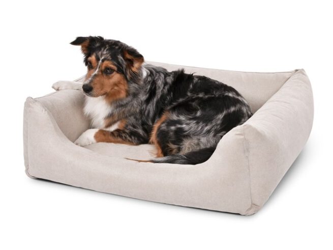 Hondenmand Comfort Dream Crème-0