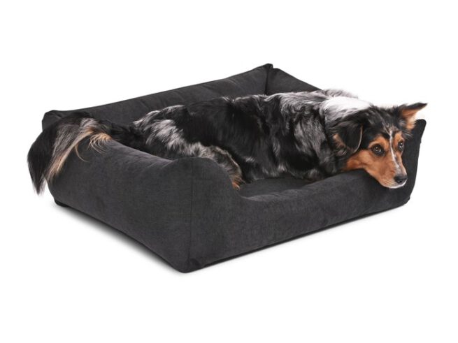Hondenmand Comfort Dream Grijs-0