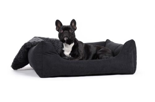 Hondenmand Comfort Dream Zwart-0