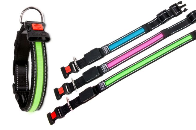 Halsband met LED verlichting Groen-15029