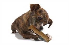 Petstages Durable Stick-15046