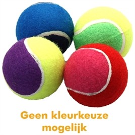 Hondenspeelgoed Tennisbal 4 stuks 6,5 cm-0