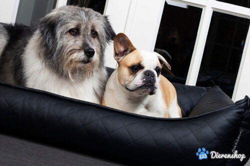 Hondenmand Eco Leather Zwart