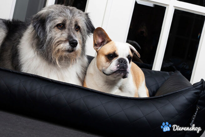 Hondenmand Eco Leather Zwart