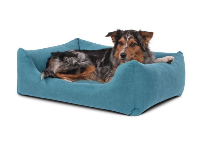 Hondenmand Comfort Dream Turquoise-0