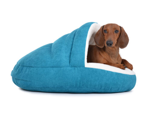 Hondenmand Snuggle Cave Deluxe Turquoise