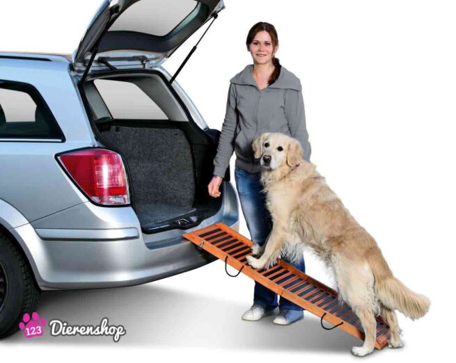 Honden Loopplank Gangway-0