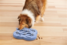 Nina Ottosson Dog Hide N Slide