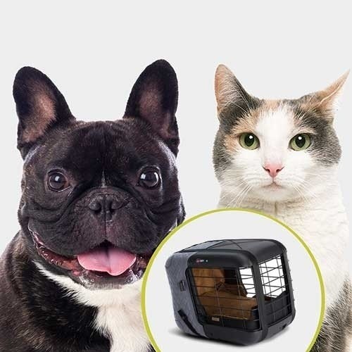 Omgeving Relatief Ruimteschip 4Pets Carre Box Smoked Pearl