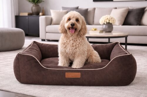 Hondenmand Indira Misty Bruin