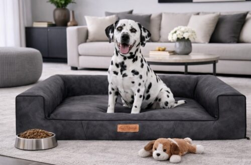 Orthopedische Hondenmand Lounge Bed Indira Misty Antraciet