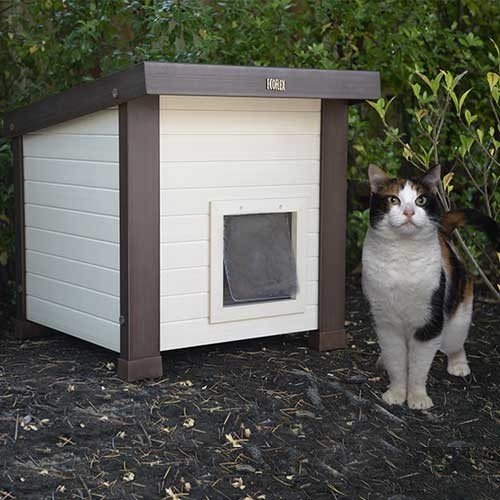 voordelig Onhandig Indringing Kattenhuis Ecoflex Outdoor-Indoor - 123dierenshop.nl