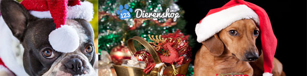 December Deals