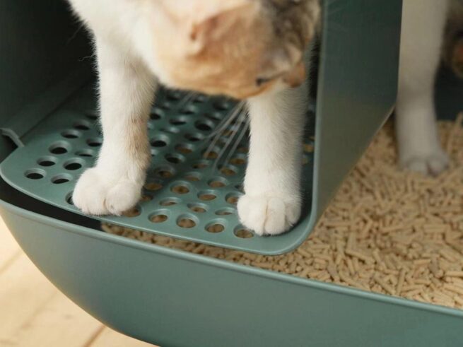 MakeSure Design kattenbak Mosgroen - Afbeelding 3