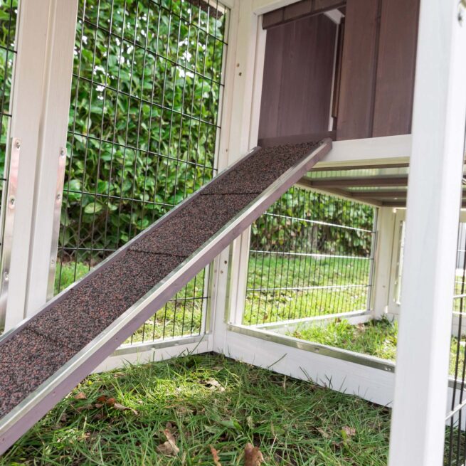 Konijnenhok Amalie met XL Ren - Afbeelding 3