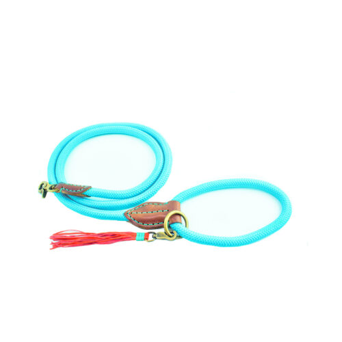 DWAM Hondenriem Turquoise