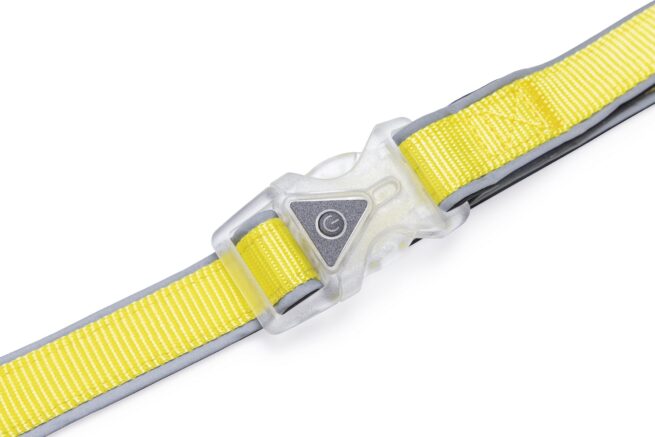 Safety Gear Hondenriem Parinca met LED verlichting - Afbeelding 2