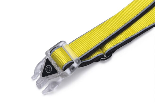 Safety Gear Halsband Parinca met LED verlichting - Afbeelding 2