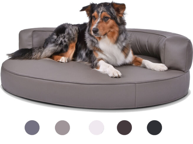 Hondenmand Magic Dream Pu-Leer