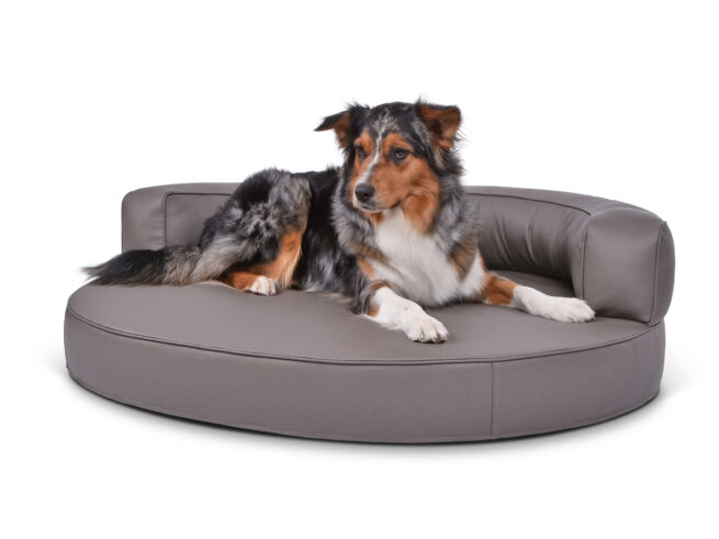 Hondenmand Magic Dream Pu-Leer - Afbeelding 2