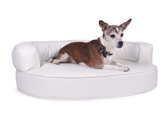 Hondenmand Magic Dream Pu-Leer - Afbeelding 4