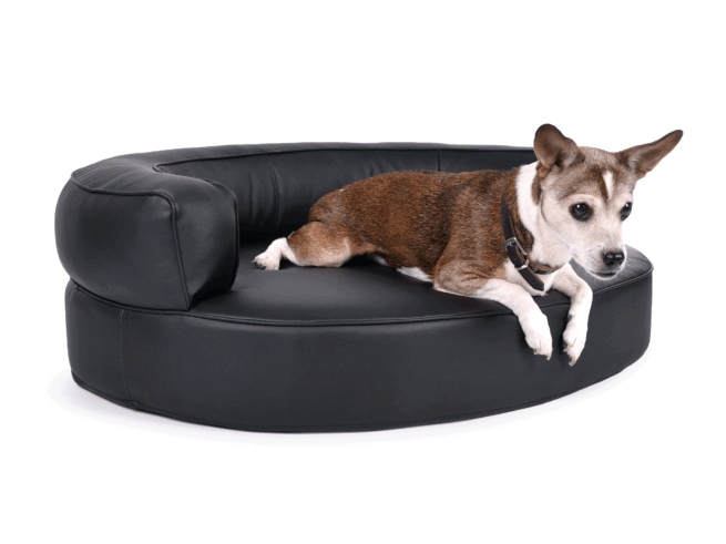 Hondenmand Magic Dream Pu-Leer - Afbeelding 5