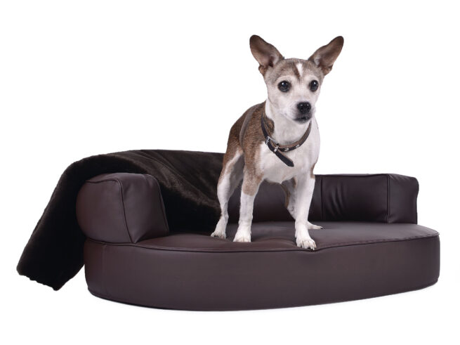 Hondenmand Magic Dream Pu-Leer - Afbeelding 6