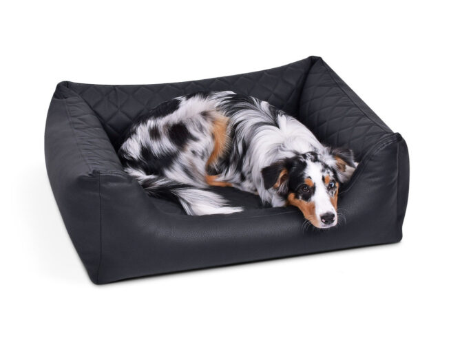 Hondenmand Premium Kunstleer Zwart