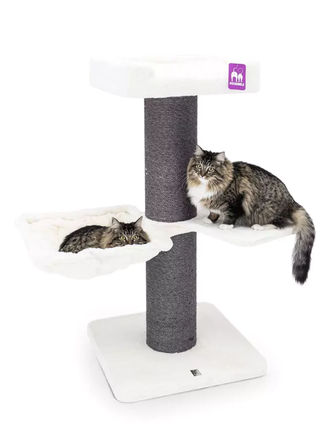 Krabpaal Maine Coon 117 - Afbeelding 3