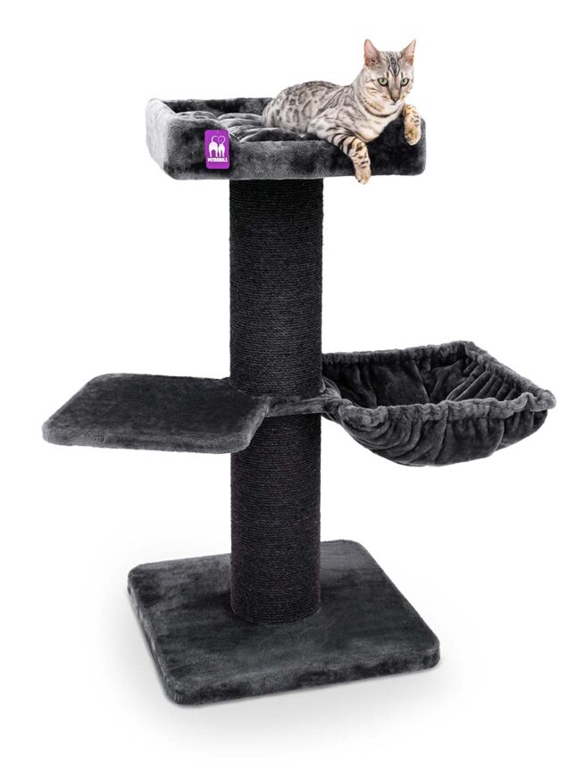 Krabpaal Maine Coon 117 - Afbeelding 2