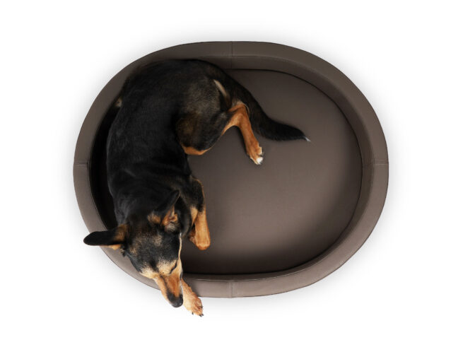 Hondenmand Solatium Premium Leer Taupe - Afbeelding 3